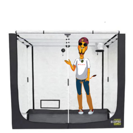 PROBOX BASIC 80 - 80X80X160CM